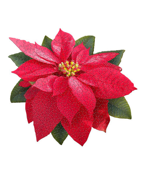 I am Poinsettia